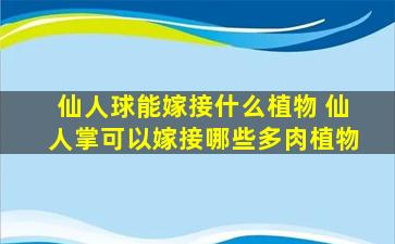 仙人球能嫁接什么植物 仙人掌可以嫁接哪些多肉植物